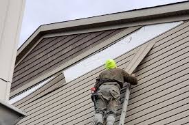 Best Custom Trim and Detailing for Siding  in Inglewood, CA